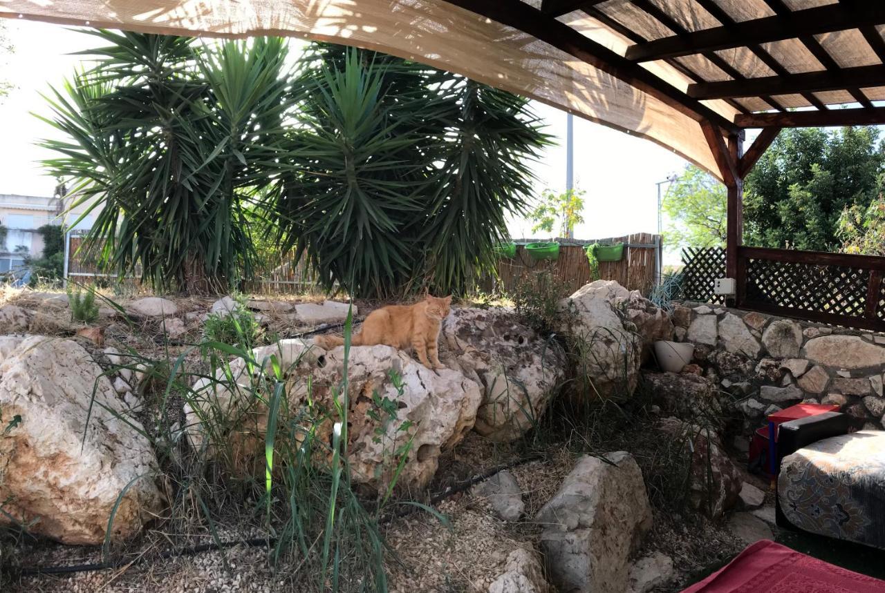 Panorama Kinneret נוף כנרת, צפת Buitenkant foto